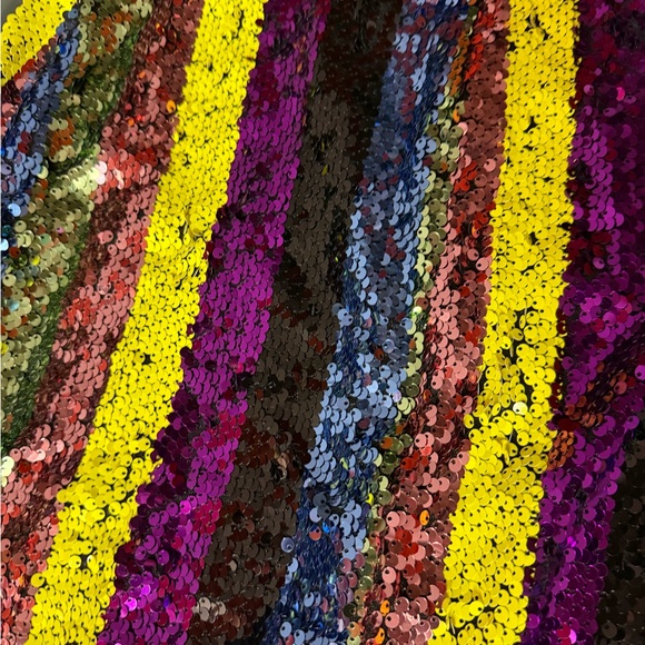 Multicolor Sequin Striped Skirt - Picture 3 of 4
